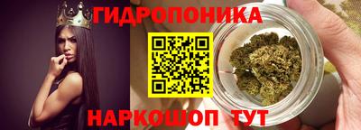 стафф Шебекино