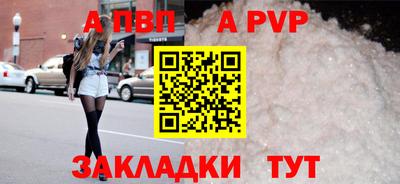 стафф Шебекино