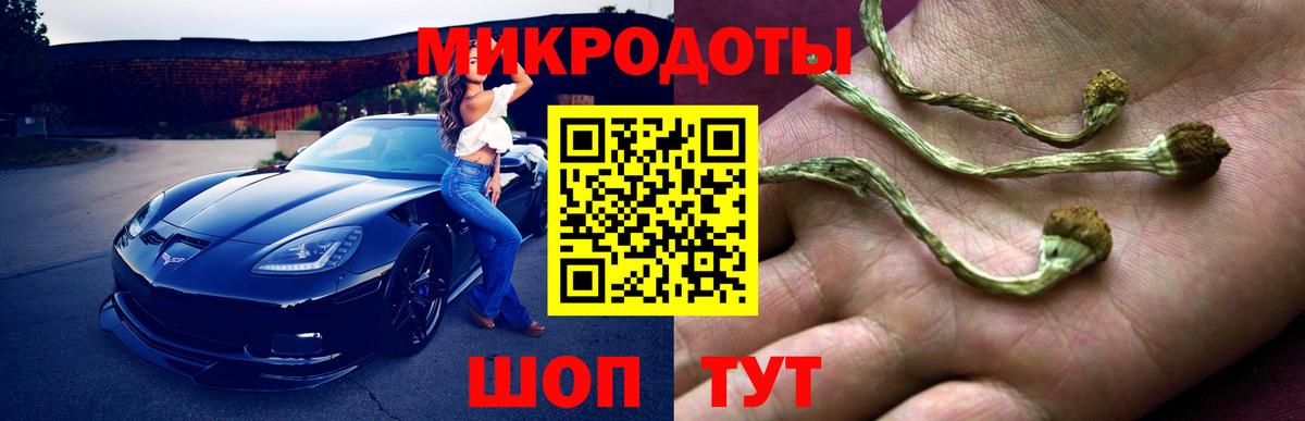 Галлюциногенные грибы MAGIC MUSHROOMS  Вход с VPN  даркнет сайт  Ачинск 