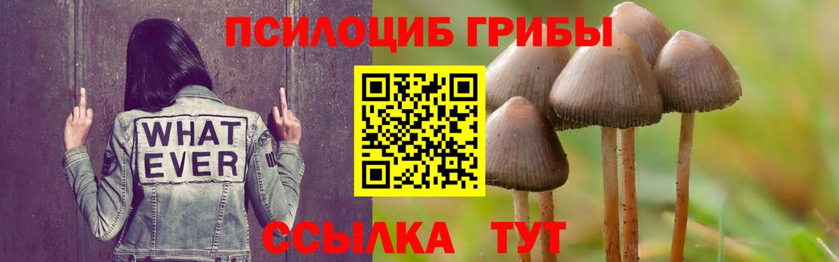 Псилоцибиновые грибы MAGIC MUSHROOMS Ачинск